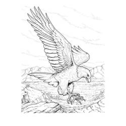 着色页: 鹰 (动物) #296 - 免费可打印着色页