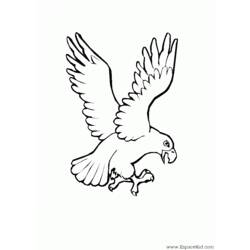 着色页: 鹰 (动物) #303 - 免费可打印着色页