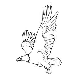 着色页: 鹰 (动物) #329 - 免费可打印着色页