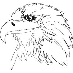着色页: 鹰 (动物) #341 - 免费可打印着色页