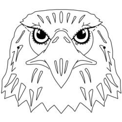 着色页: 鹰 (动物) #366 - 免费可打印着色页