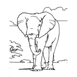 着色页: 大象 (动物) #6301 - 免费可打印着色页