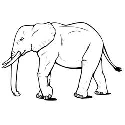 着色页: 大象 (动物) #6310 - 免费可打印着色页