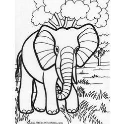 着色页: 大象 (动物) #6327 - 免费可打印着色页