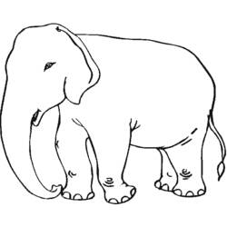 着色页: 大象 (动物) #6342 - 免费可打印着色页
