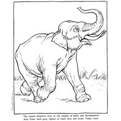 着色页: 大象 (动物) #6418 - 免费可打印着色页