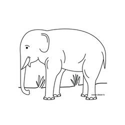 着色页: 大象 (动物) #6440 - 免费可打印着色页
