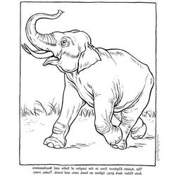 着色页: 大象 (动物) #6442 - 免费可打印着色页