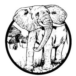 着色页: 大象 (动物) #6485 - 免费可打印着色页