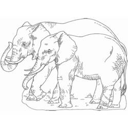 着色页: 大象 (动物) #6486 - 免费可打印着色页
