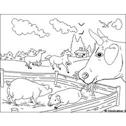 着色页: 农场动物 (动物) #21663 - 免费可打印着色页