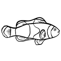 着色页: 鱼 (动物) #17058 - 免费可打印着色页
