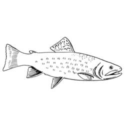 着色页: 鱼 (动物) #17136 - 免费可打印着色页