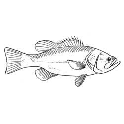 着色页: 鱼 (动物) #17170 - 免费可打印着色页