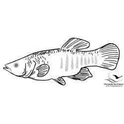 着色页: 鱼 (动物) #17220 - 免费可打印着色页