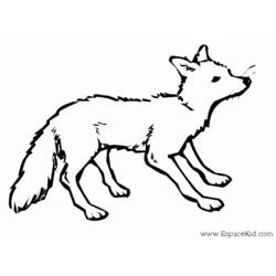 着色页: 狐狸 (动物) #14963 - 免费可打印着色页