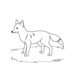 着色页: 狐狸 (动物) #14970 - 免费可打印着色页