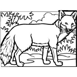 着色页: 狐狸 (动物) #14977 - 免费可打印着色页