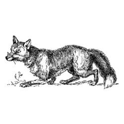 着色页: 狐狸 (动物) #15007 - 免费可打印着色页