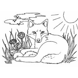 着色页: 狐狸 (动物) #15009 - 免费可打印着色页