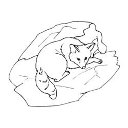 着色页: 狐狸 (动物) #15019 - 免费可打印着色页