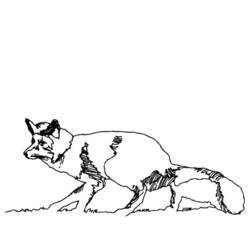 着色页: 狐狸 (动物) #15051 - 免费可打印着色页