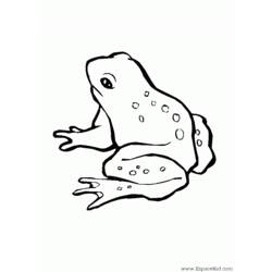 着色页: 青蛙 (动物) #7592 - 免费可打印着色页