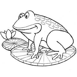 着色页: 青蛙 (动物) #7594 - 免费可打印着色页