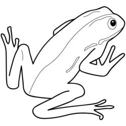 着色页: 青蛙 (动物) #7596 - 免费可打印着色页