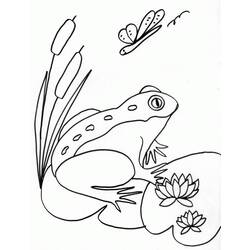 着色页: 青蛙 (动物) #7606 - 免费可打印着色页