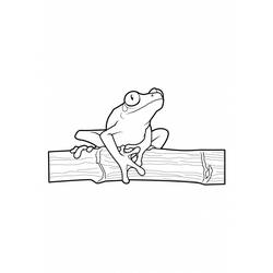 着色页: 青蛙 (动物) #7611 - 免费可打印着色页