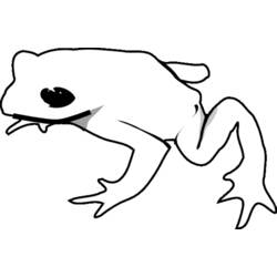 着色页: 青蛙 (动物) #7614 - 免费可打印着色页