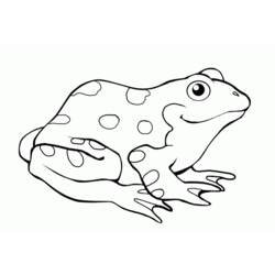 着色页: 青蛙 (动物) #7615 - 免费可打印着色页