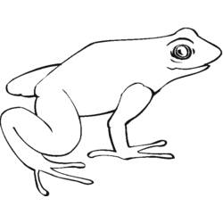 着色页: 青蛙 (动物) #7629 - 免费可打印着色页
