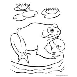 着色页: 青蛙 (动物) #7661 - 免费可打印着色页