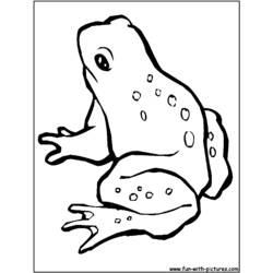 着色页: 青蛙 (动物) #7663 - 免费可打印着色页