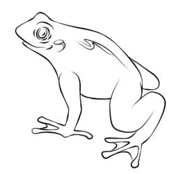 着色页: 青蛙 (动物) #7665 - 免费可打印着色页