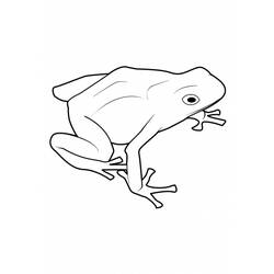 着色页: 青蛙 (动物) #7679 - 免费可打印着色页
