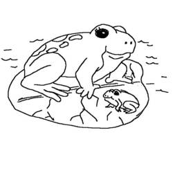 着色页: 青蛙 (动物) #7715 - 免费可打印着色页