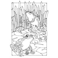 着色页: 青蛙 (动物) #7716 - 免费可打印着色页