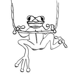 着色页: 青蛙 (动物) #7763 - 免费可打印着色页