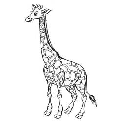 着色页: 长颈鹿 (动物) #7226 - 免费可打印着色页