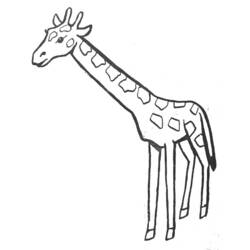 着色页: 长颈鹿 (动物) #7230 - 免费可打印着色页