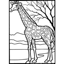 着色页: 长颈鹿 (动物) #7231 - 免费可打印着色页