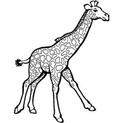 着色页: 长颈鹿 (动物) #7246 - 免费可打印着色页