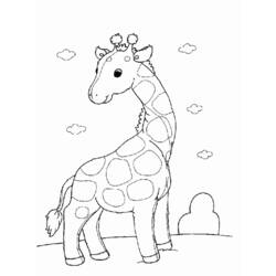 着色页: 长颈鹿 (动物) #7253 - 免费可打印着色页