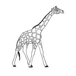 着色页: 长颈鹿 (动物) #7260 - 免费可打印着色页