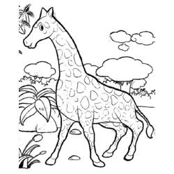 着色页: 长颈鹿 (动物) #7262 - 免费可打印着色页
