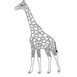 着色页: 长颈鹿 (动物) #7275 - 免费可打印着色页