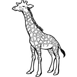 着色页: 长颈鹿 (动物) #7291 - 免费可打印着色页